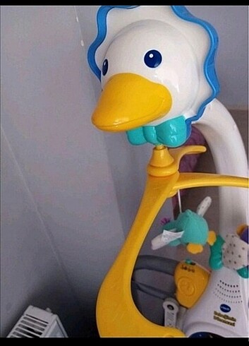 Diğer uyku arkadaşı