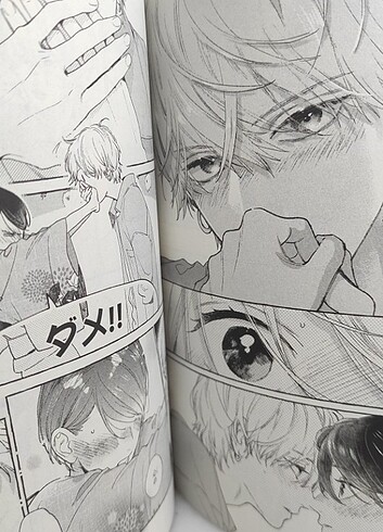 Beden Renk Uruwashi no Yoi no Tsuki 4. Cilt Japonca Manga