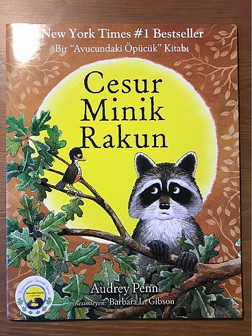 Cesur Minik Rakun