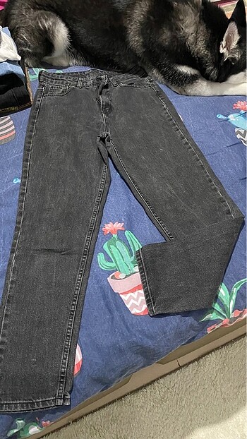 Zara Pantolon