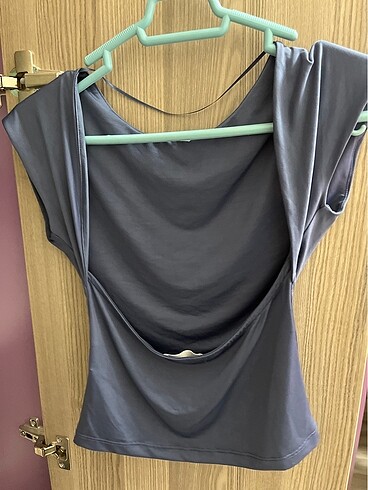 Stradivarius stradivarius crop