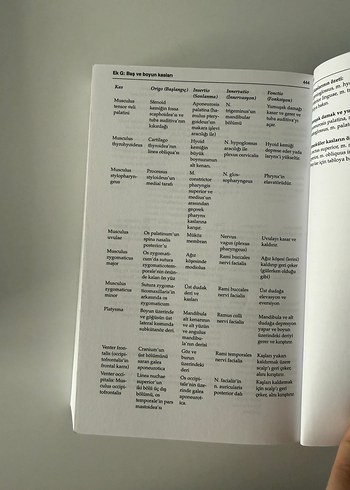 Oxford Diş Hekimliği Sözlüğü Kitabı - Görsel 7