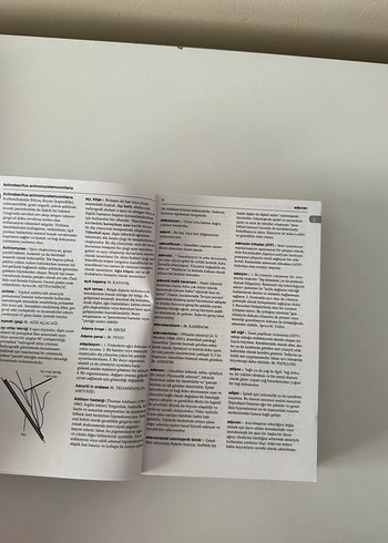 Oxford Diş Hekimliği Sözlüğü Kitabı - Görsel 6