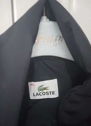 Lacoste siyah mont