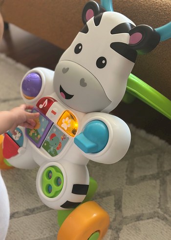 Beden Renkli Zebra Desenli Bebek Yürüteci