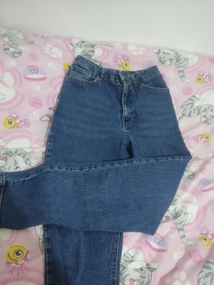 LCW Jeans Kadın Mavi Bol Kesim  Pantolon - Görsel 4
