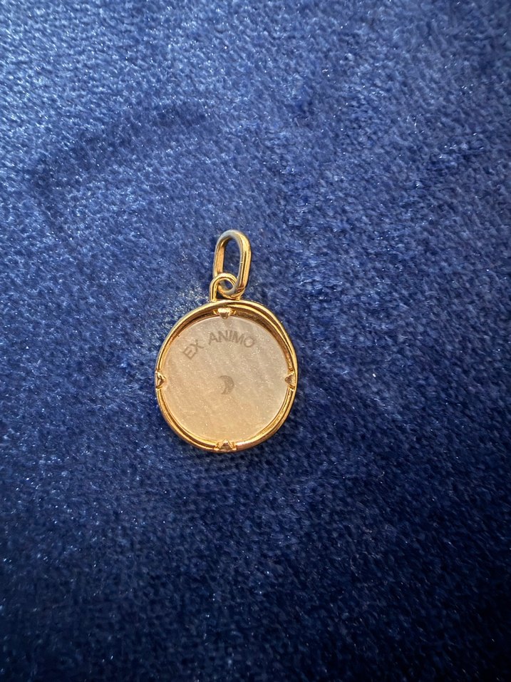 Pandora pegasus madalyon charm - Görsel 3