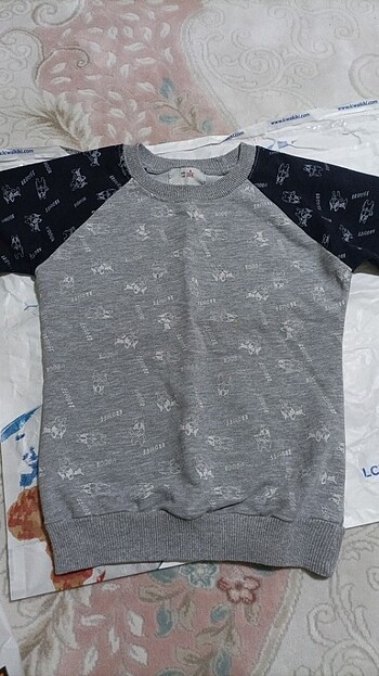 Sweatshirt 
