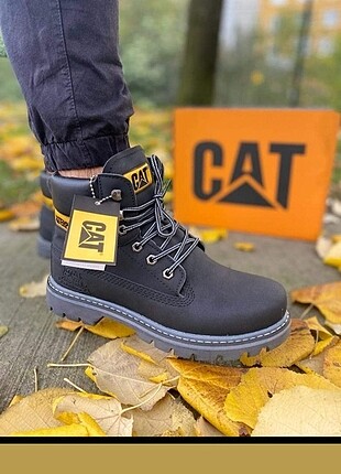 Unisex Cat bot
