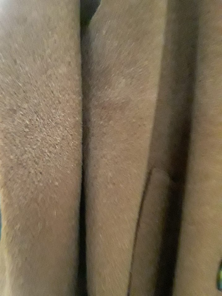 Kahverengi Süet Kadın Uzun Düğmeli Kaban - Görsel 5