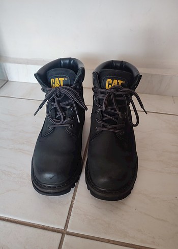 cat 37