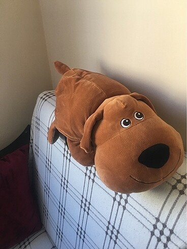 Pelüş köpek