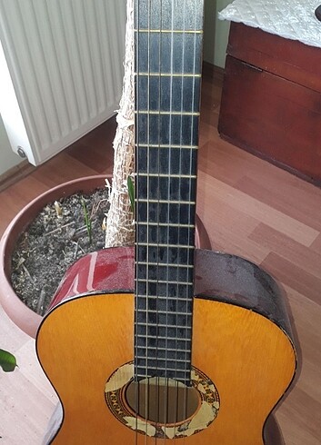 Klasik gitar