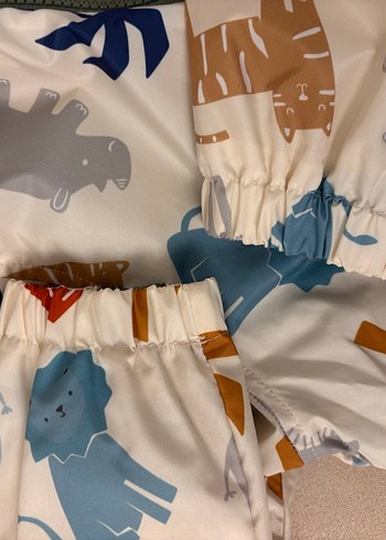 Lc waikiki yağmurluk - Görsel 3