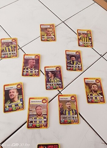 Fenerbahçe 2013 ilk 11