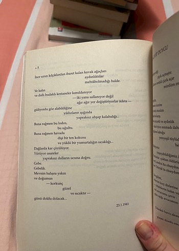 Kuvayi Milliye - Nazım Hikmet Şiirleri - Görsel 3