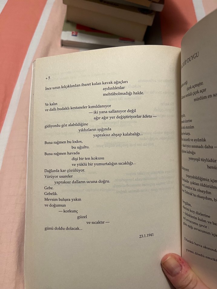 Kuvayi Milliye - Nazım Hikmet Şiirleri - Görsel 3