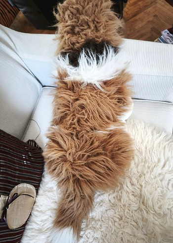 Kahverengi ve Gri Peluş Köpek Oyuncak - Görsel 4