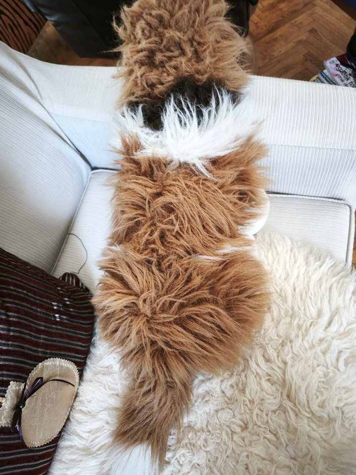 Kahverengi ve Gri Peluş Köpek Oyuncak - Görsel 4