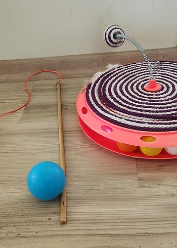 Renkli Kedi Oyun Aksesuarı