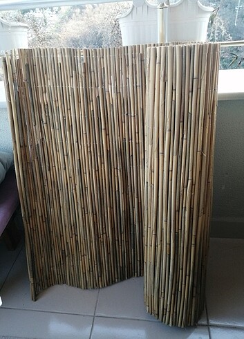 Bambu çit