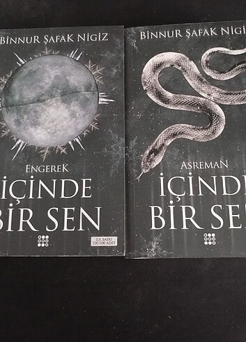 İçinde bir sen Seri