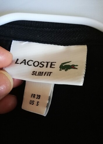 Lacoste Lacoste erkek polo yaka t-shirt 