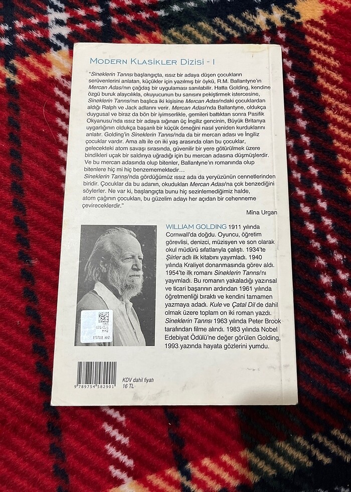 Sineklerin tanrısı - Görsel 2