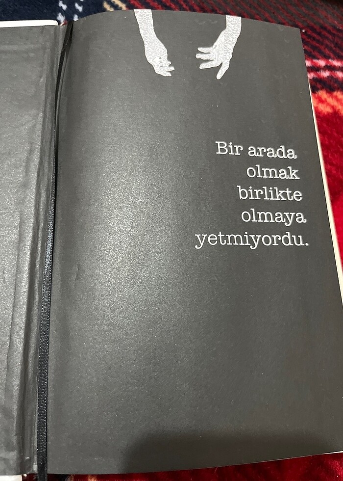 Karantina 2 ve 3 ciltli - Görsel 4