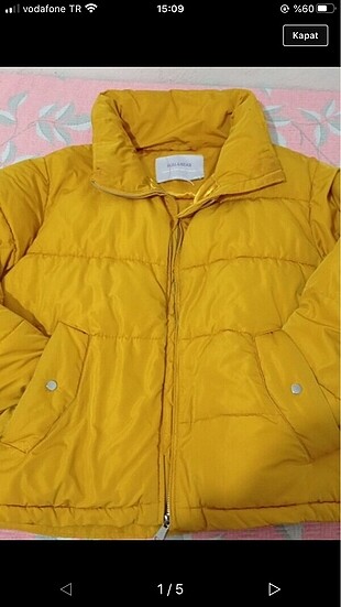 Pull and BEAR mont