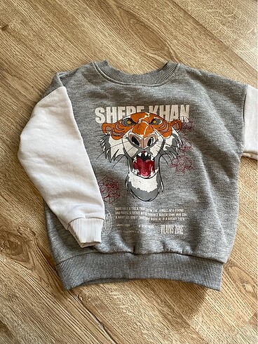 Erkek Çocuk Sweatshirt