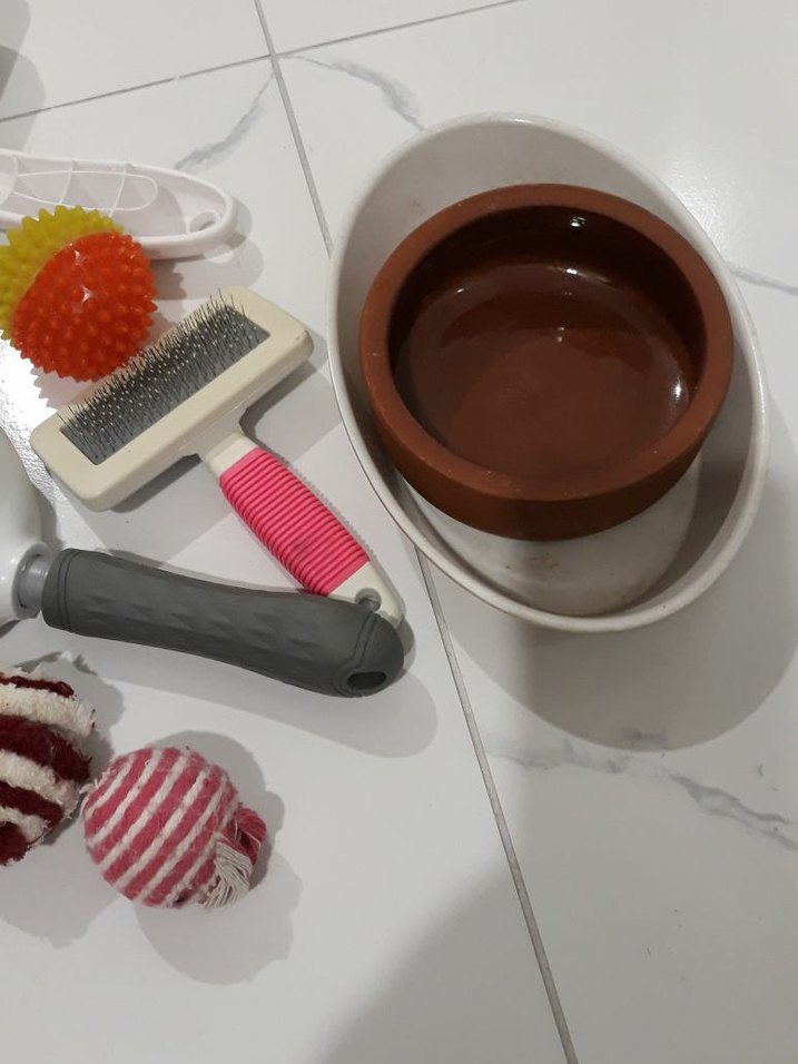 Gri Kedi Tüy Toplama Fırçası ve Oyuncak Seti - Görsel 3