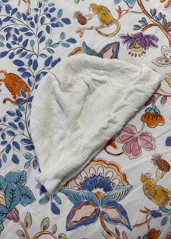 Beyaz Bere - Görsel 2