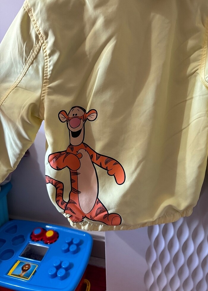 Yağmurluk - Görsel 2