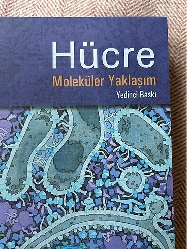Hücre moleküler yaklaşım