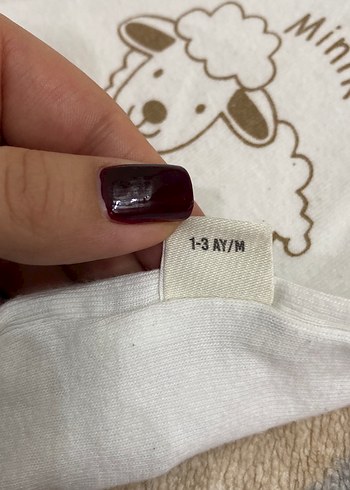 Erkek Bebek Pamuklu Kolsuz Body - Görsel 4