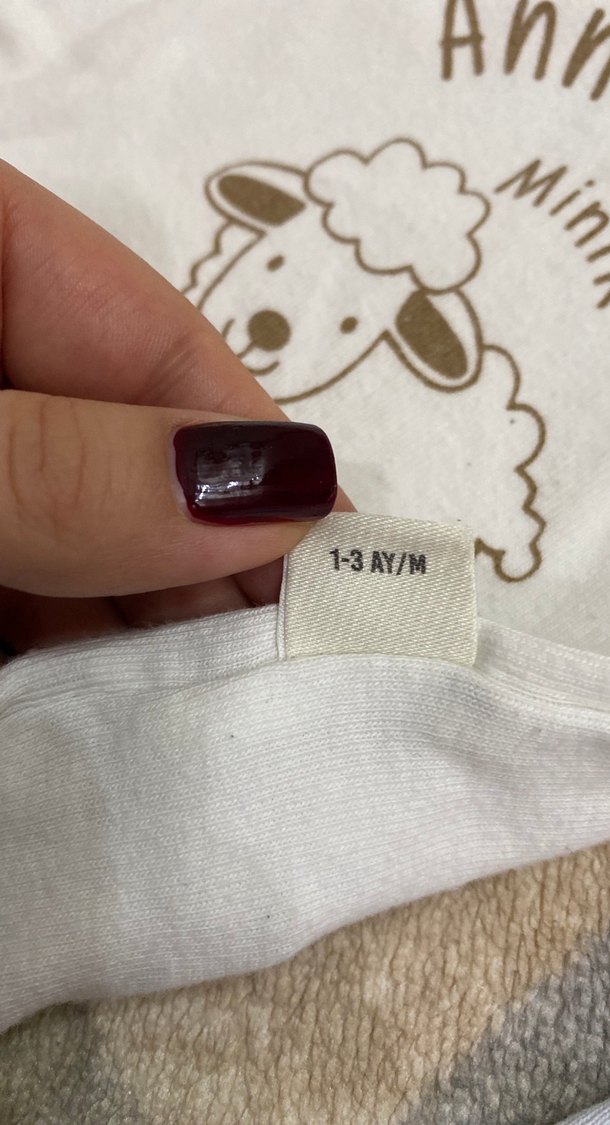 Erkek Bebek Pamuklu Kolsuz Body - Görsel 4