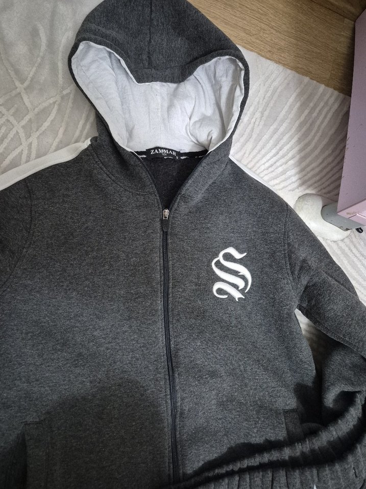 Gri Kapüşonlu Fermuarlı Erkek Sweatshirt - Görsel 2