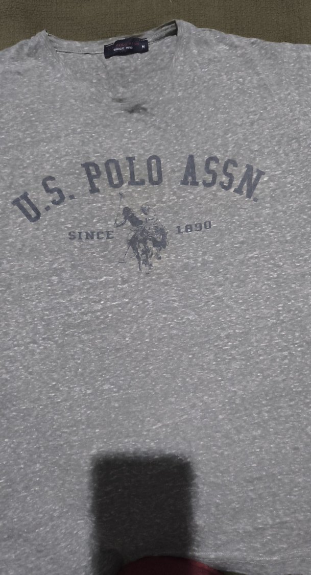 Gri Baskılı Erkek Kısa Kollu Tişört - Görsel 2