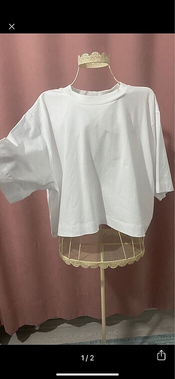 Zara Never more pamuk tshirt