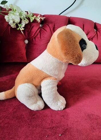 Oyuncak Köpek