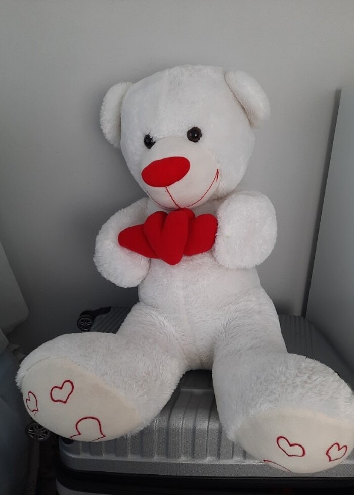 Büyük peluş ayı - Görsel 2