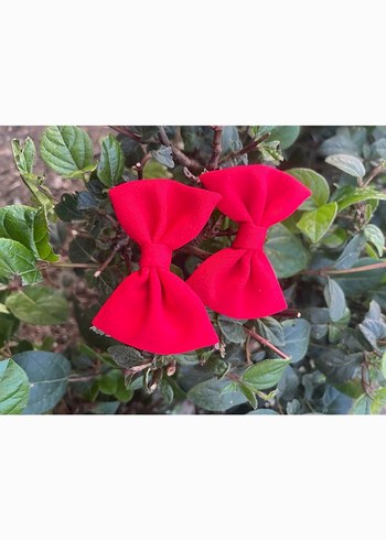 Renkli Fiyonk Saç Tokalari 2li - Görsel 4