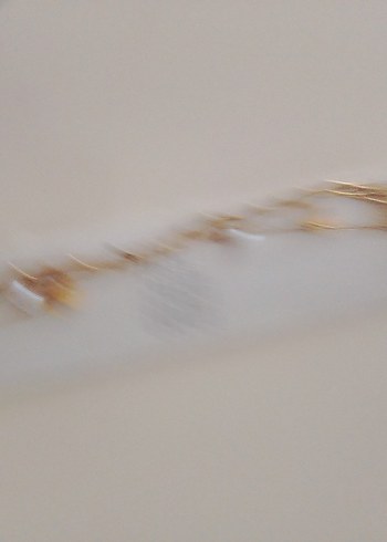 Altın Renk Zincir Detaylı Kadın El Zinciri - Görsel 3