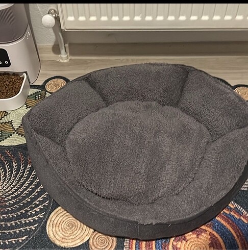 Beden Kedi yatağı