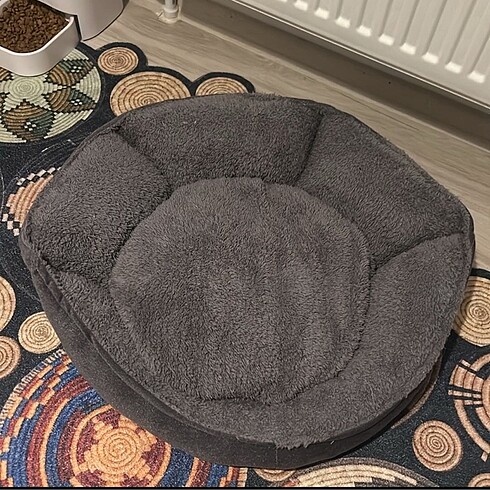 Kedi yatağı