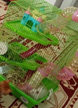 hamster kafesi