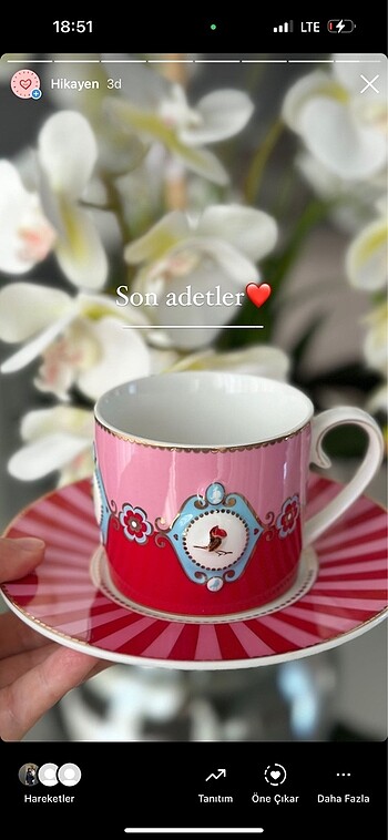 Love birds çay fincan