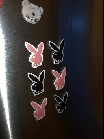Playboy magnet