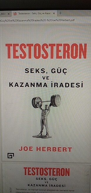 Joe Herbert- Testosteron PDF